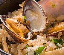 プロの味 関西風うどんだし