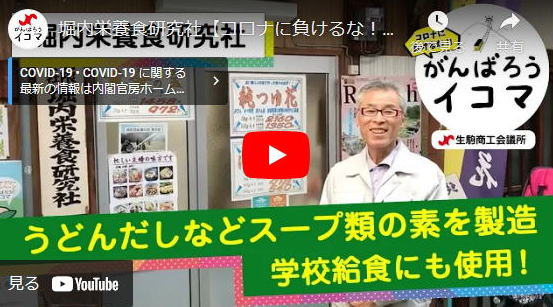 関西風だしの素　うどんつゆ　和風だしの素　堀内栄研　生駒